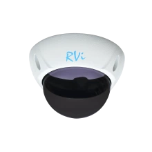 RVI RVI-1DS2w