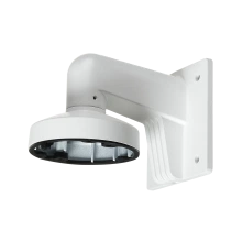 RVI RVI-2BWM-D1