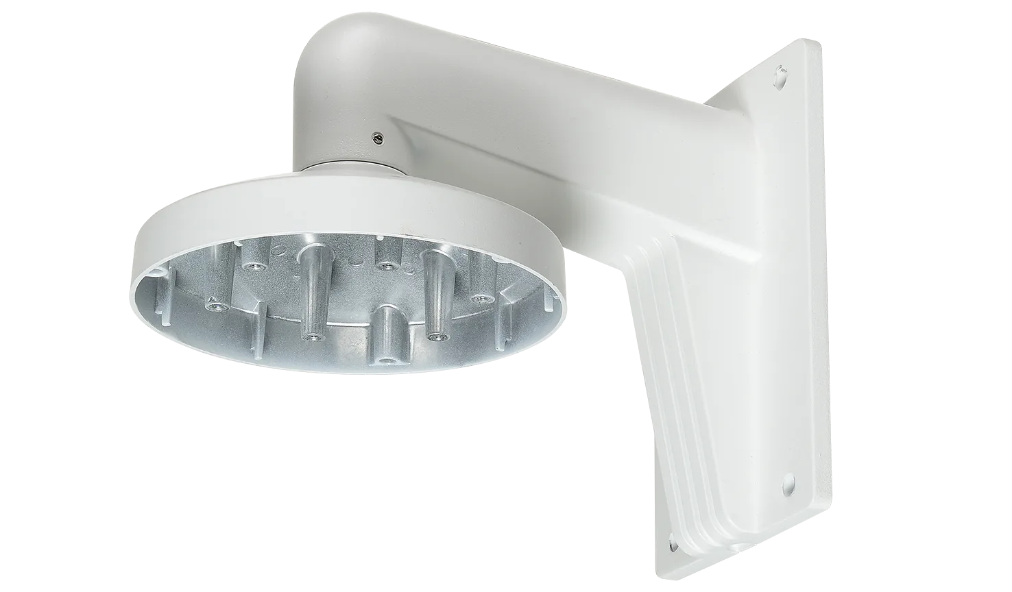 RVI RVI-2BWM-D2