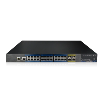 RVI RVI-2NSM24G-4SP RVI RVI-2NSM24G-4SP